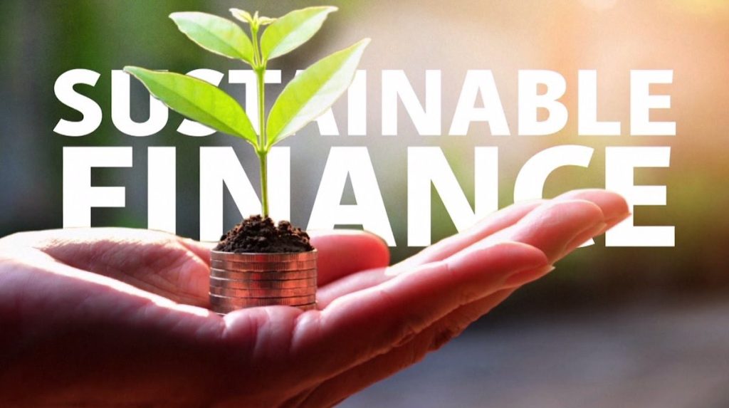 Why Sustainable Investing is the Future of Finance